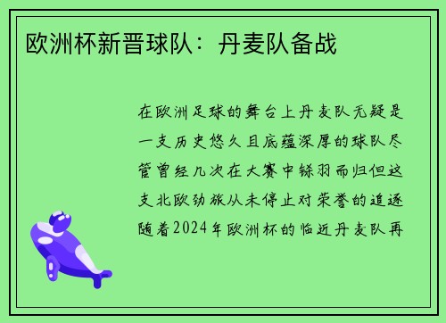 欧洲杯新晋球队:丹麦队备战